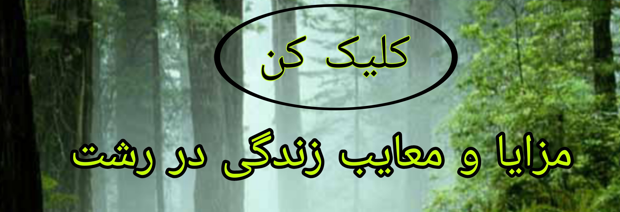 مزایا معایب زندگی در رشت